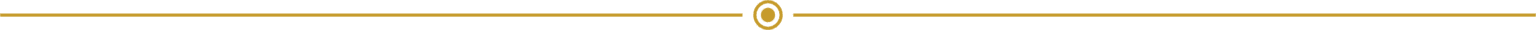 Brighton_Foreign Gold _ Silver_Website_Elements-03